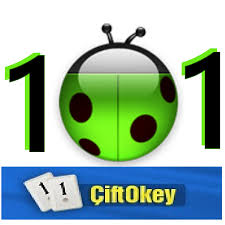 101 Okey hakkarim.net APK icon