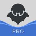 HaloVPN Pro icon