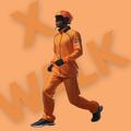 X Walk icon
