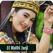 DJ Dayak Malihi Janji icon