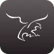 Golden Eagle icon