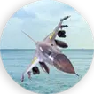 F-16 Air Striker icon