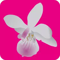 White Orchids Slots icon