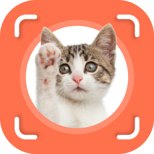 Cat Identifier - Cat Scanner icon