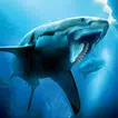 Helicoprion Simulator icon