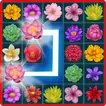 Onet Blossom icon