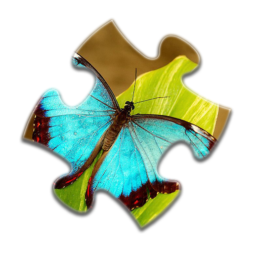Butterfly Jigsaw Puzzles icon