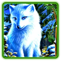 Silver Fox slot Free APK icon