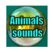 Animals sounds icon