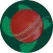 Super Cricket: Bats & Blades icon
