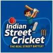 GWS Indian Street Cricket icon