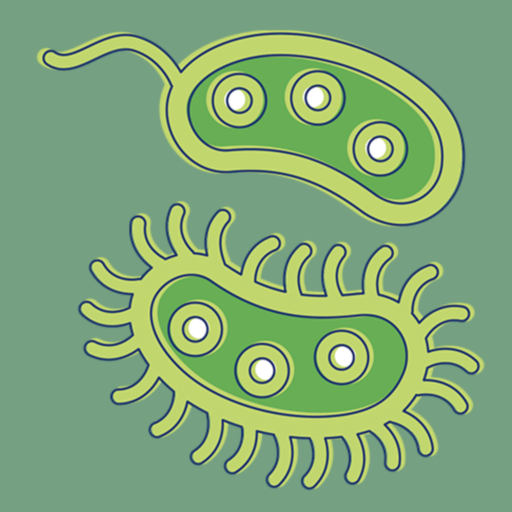 Bacteria: Types, Infections icon